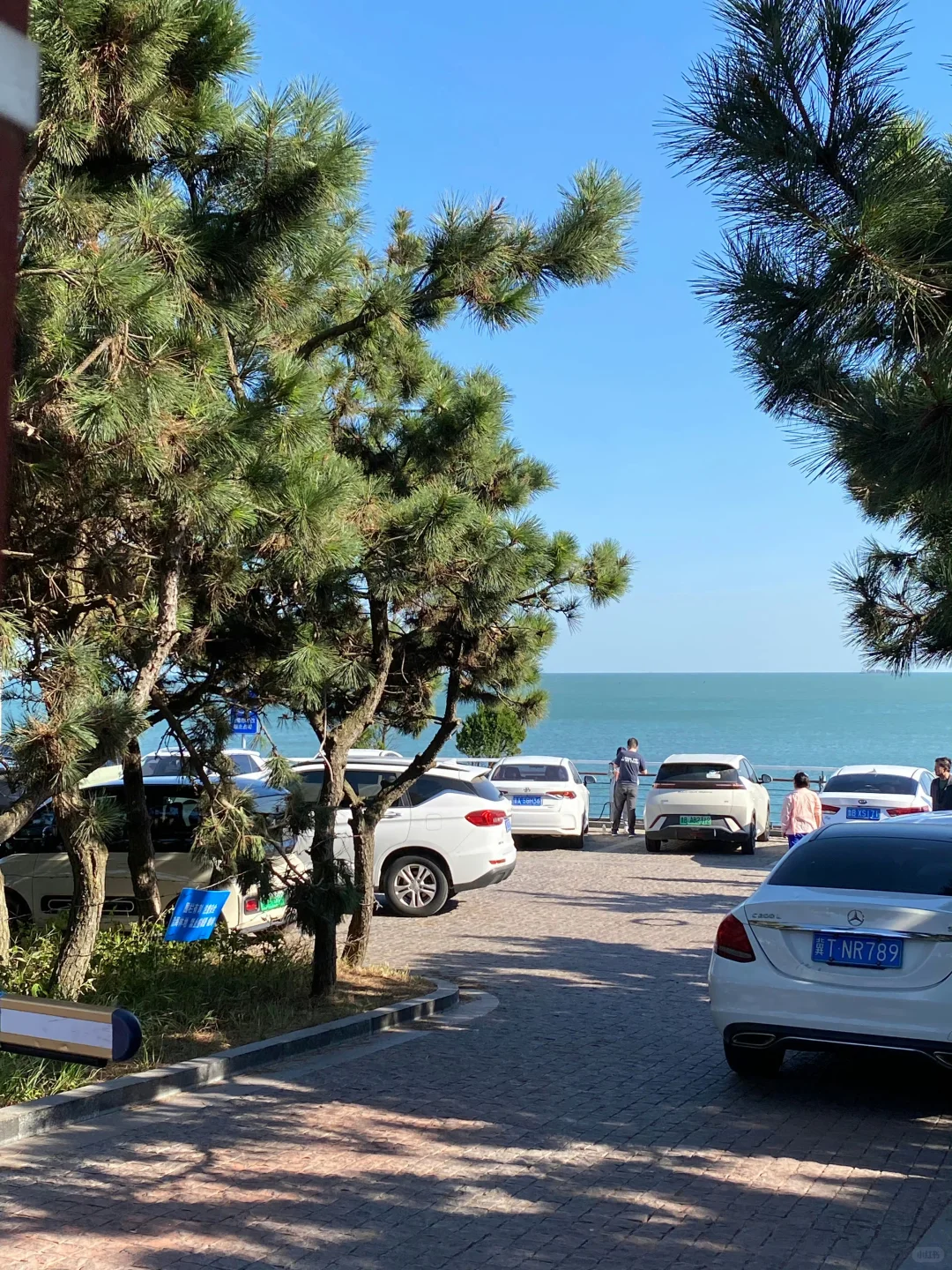 历届游客最想知道日照的8大话题