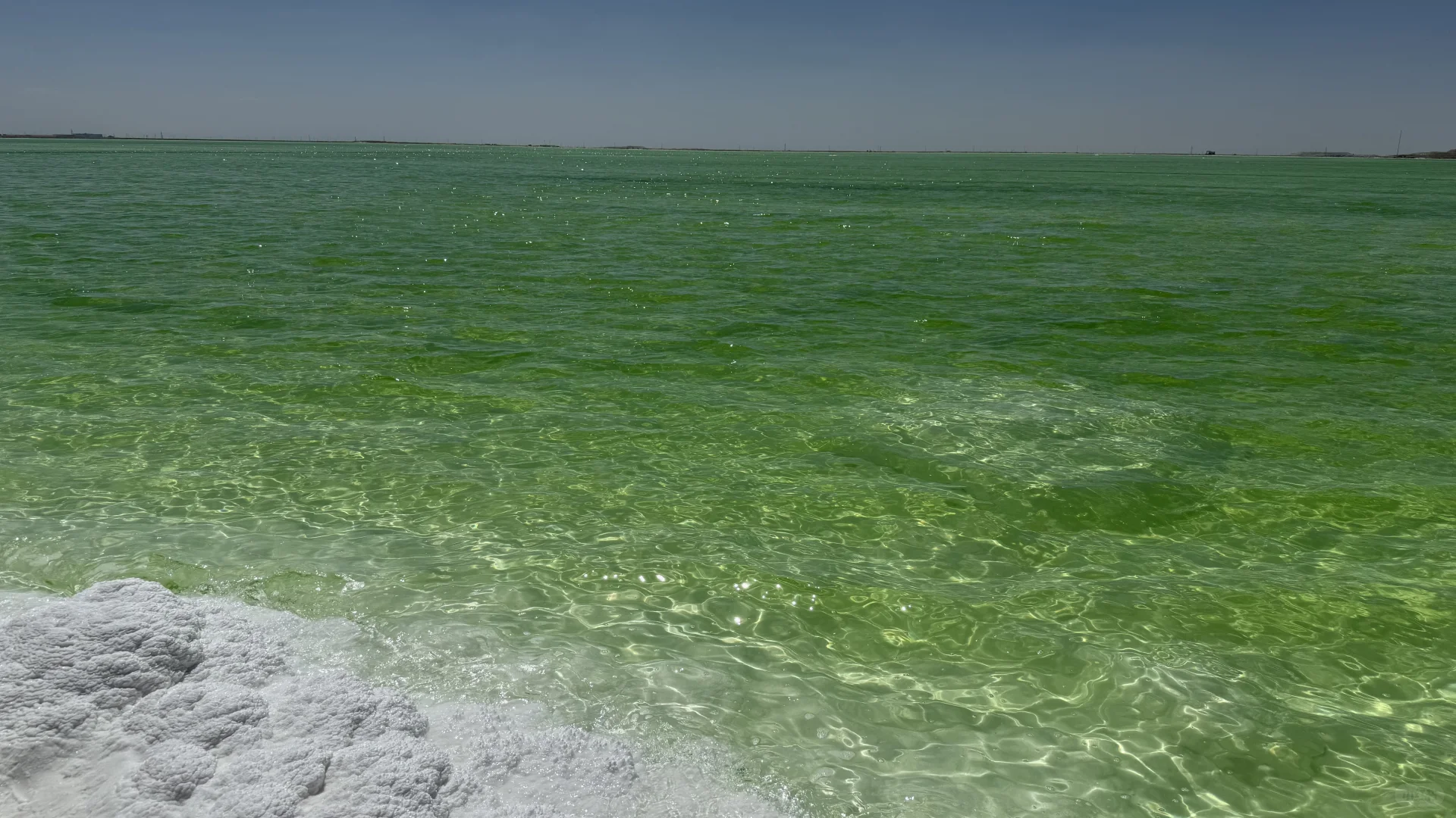 察尔汗盐湖的绿让人难以忘怀