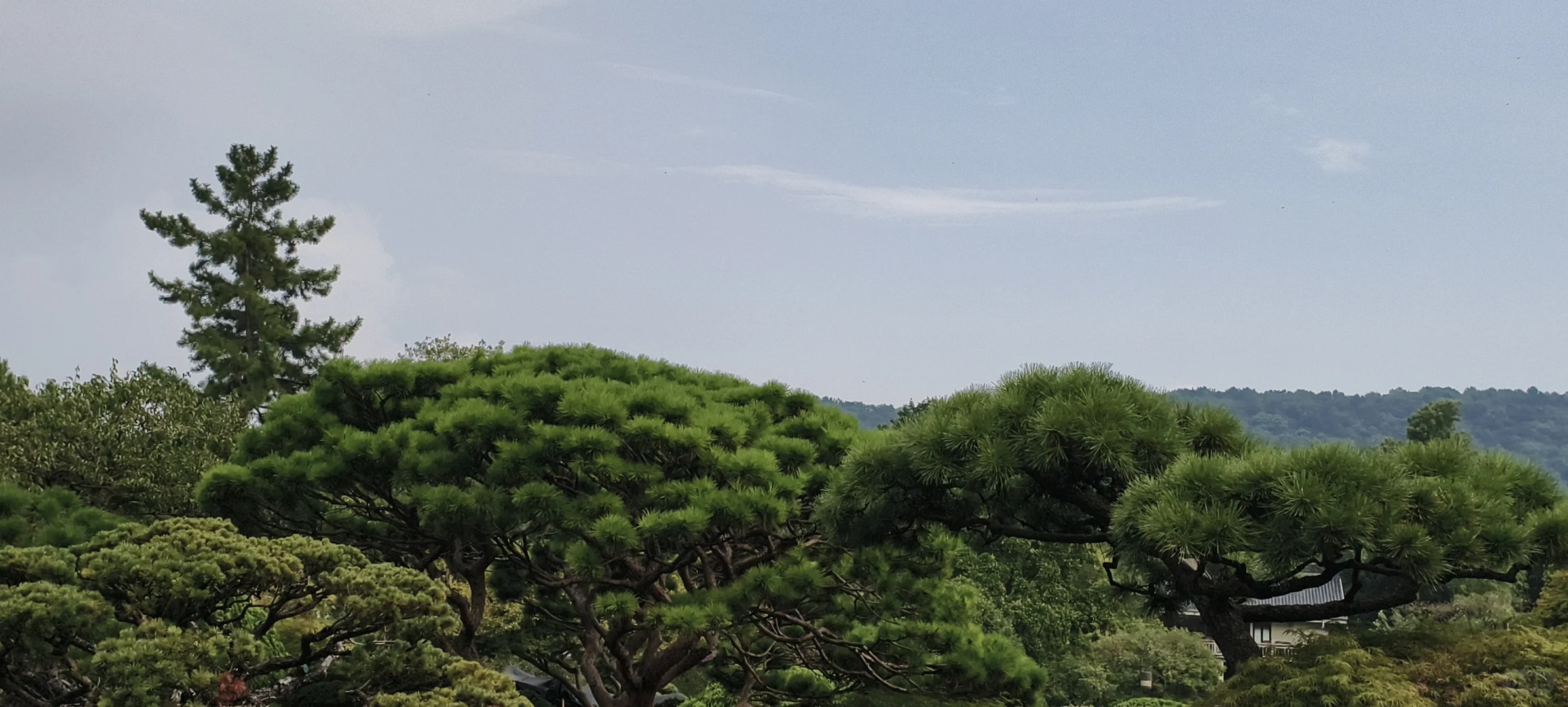 西湖｜特种兵一日游，各景点观感详记（中）