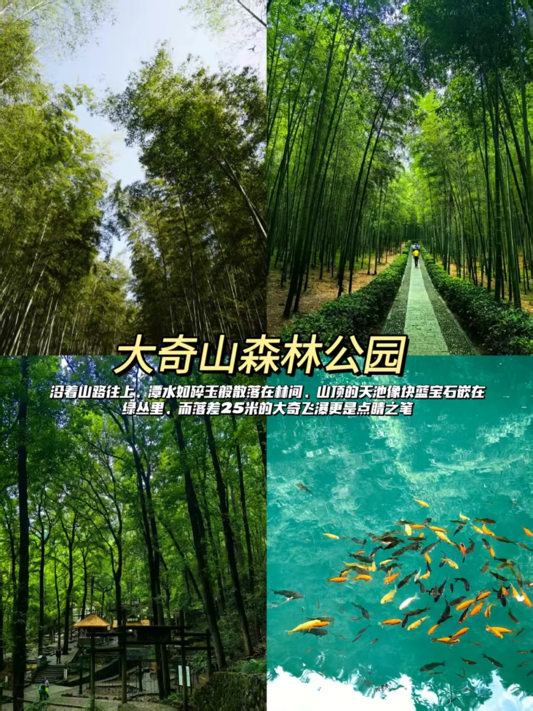 桐庐旅行 | 6大必打卡景点🌿 带你邂逅山