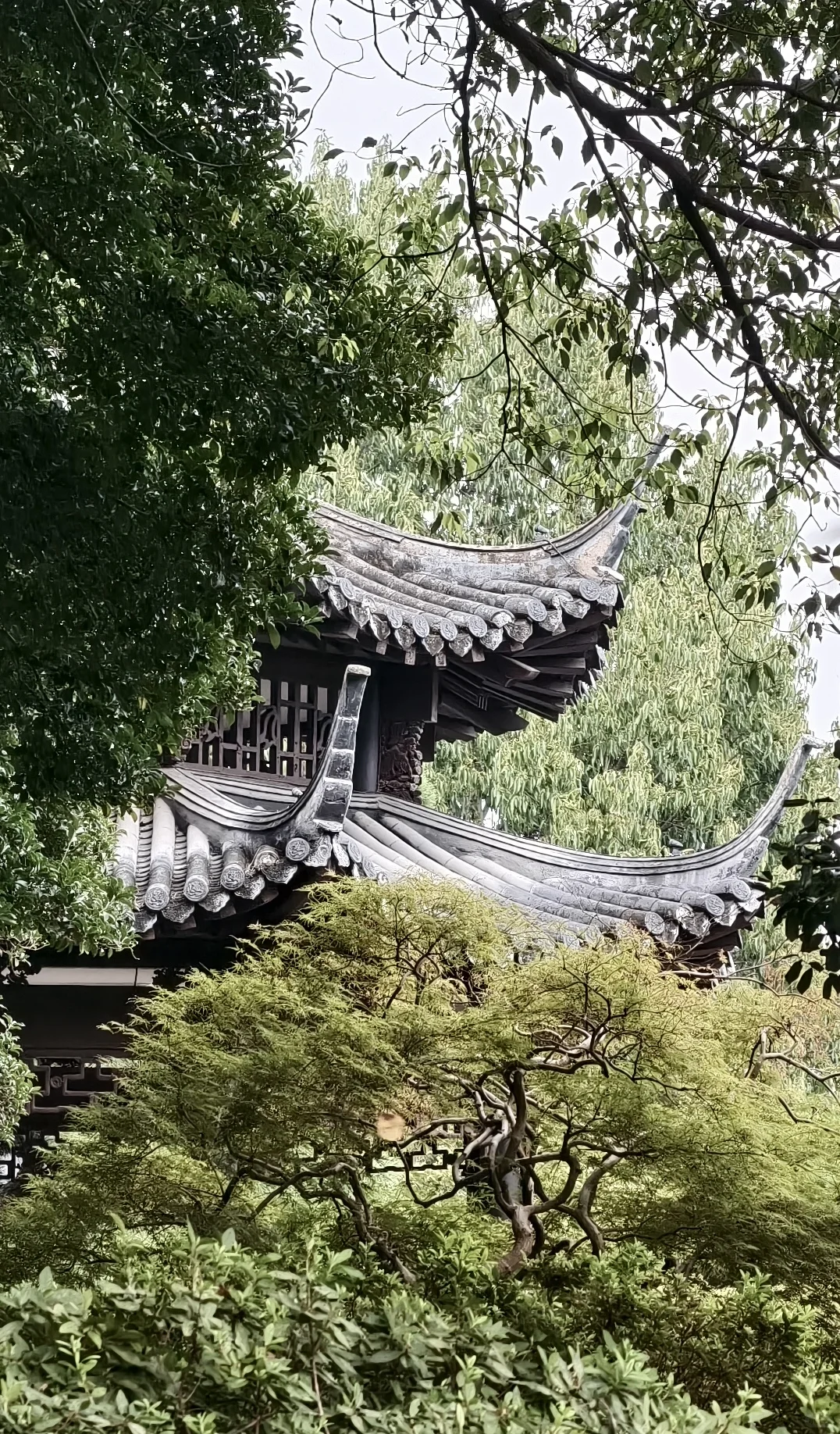 西湖｜特种兵一日游，各景点观感详记（中）