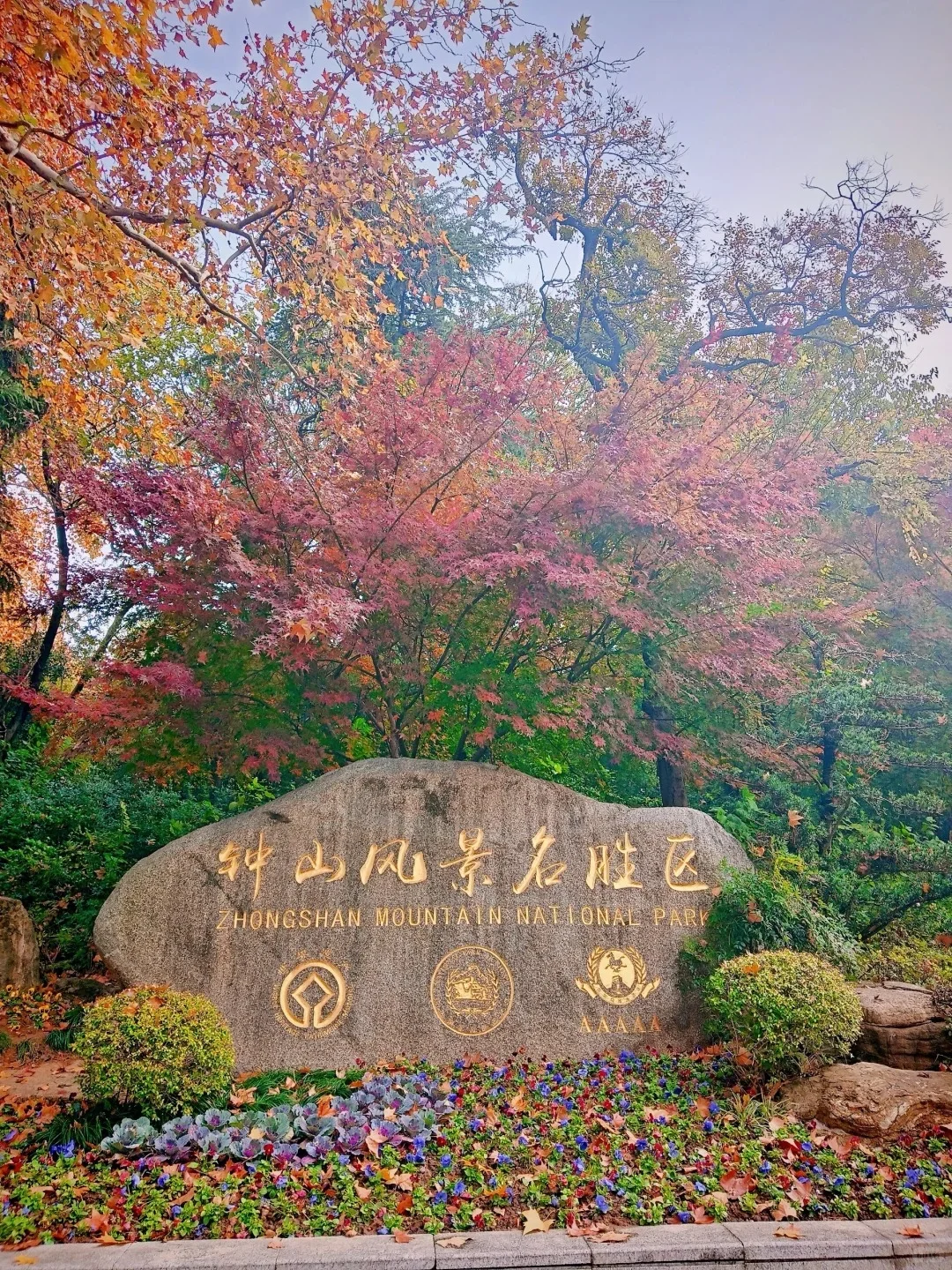 🌟南京旅行全攻略 🌟