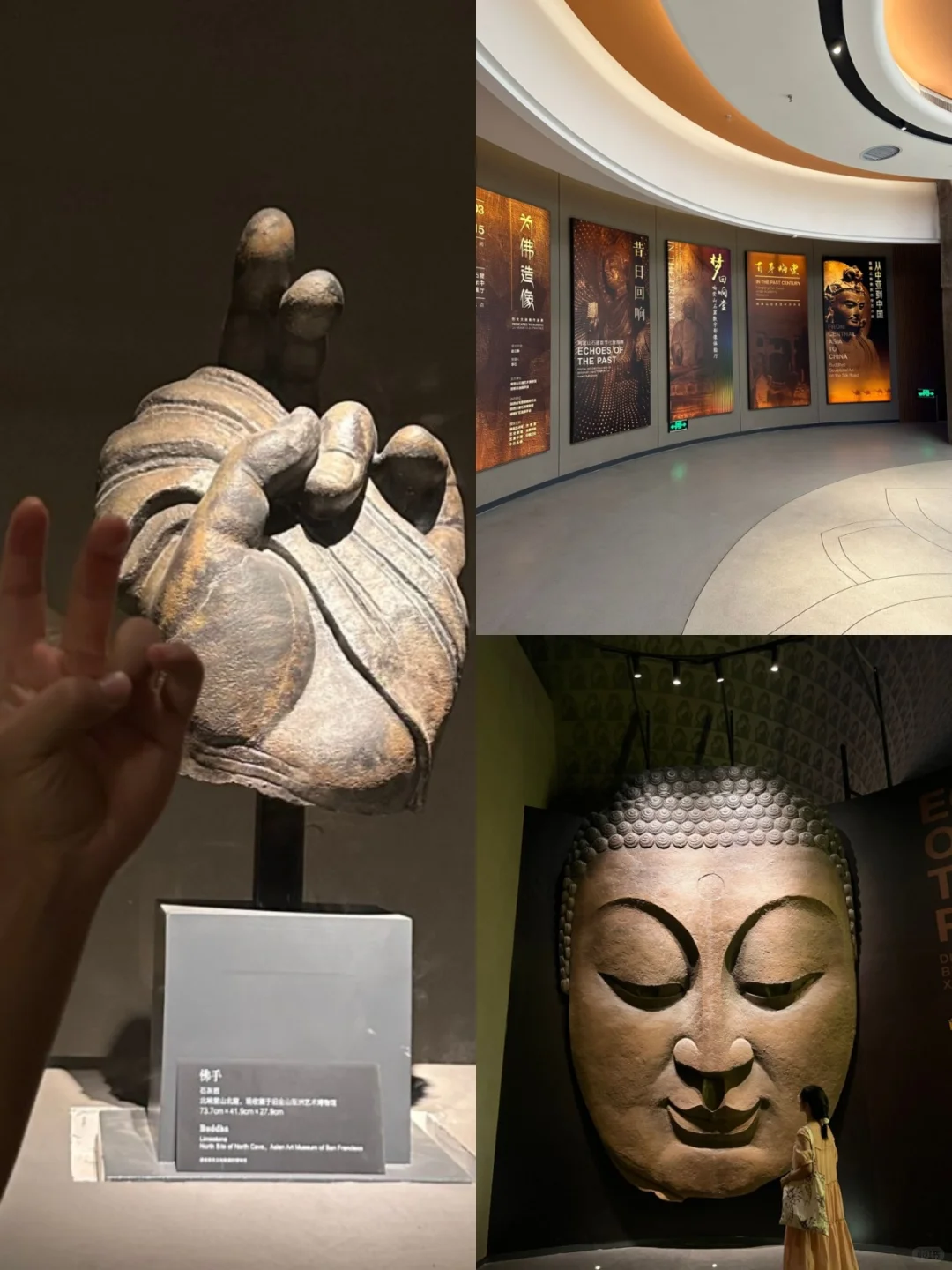 学生党再添玩法｜避暑省钱新攻略💰