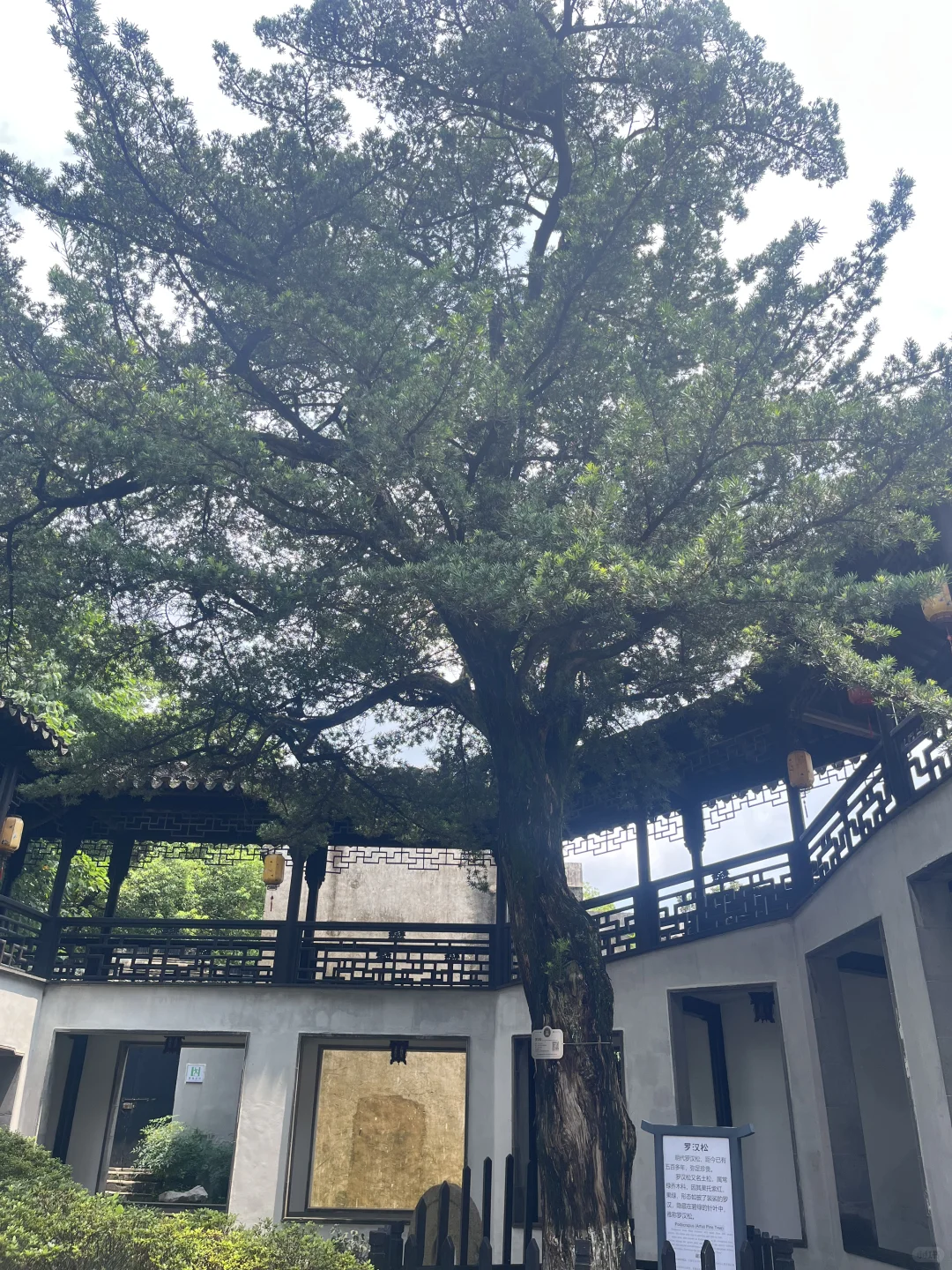 木渎古镇半日游