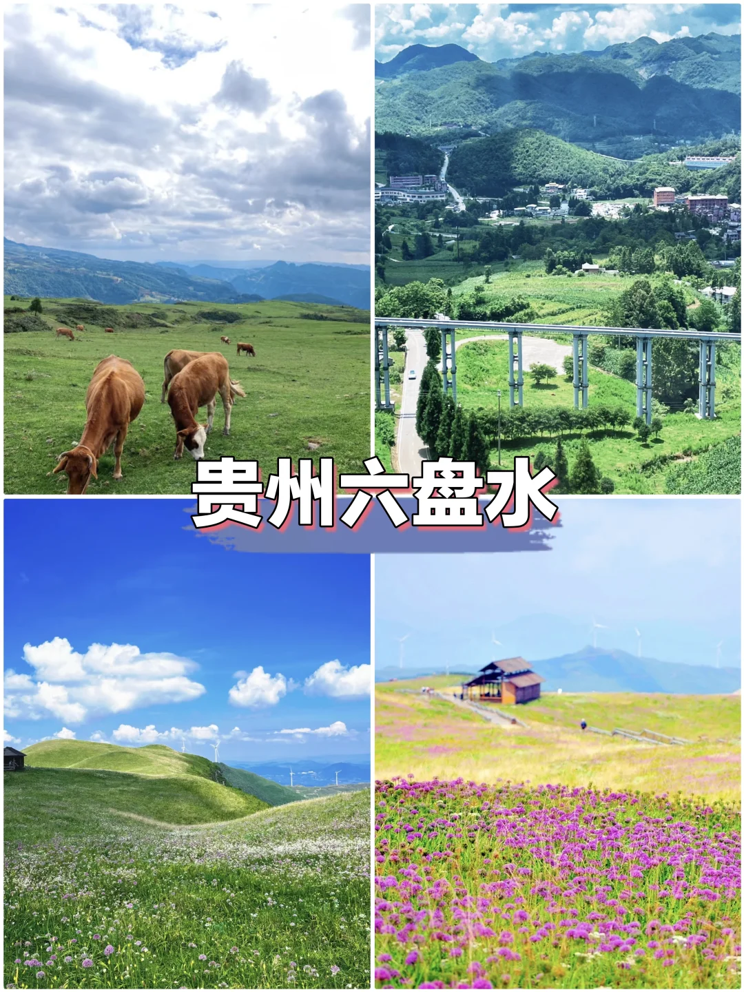 四大冷门零差评避暑城市，过一个凉爽的夏天