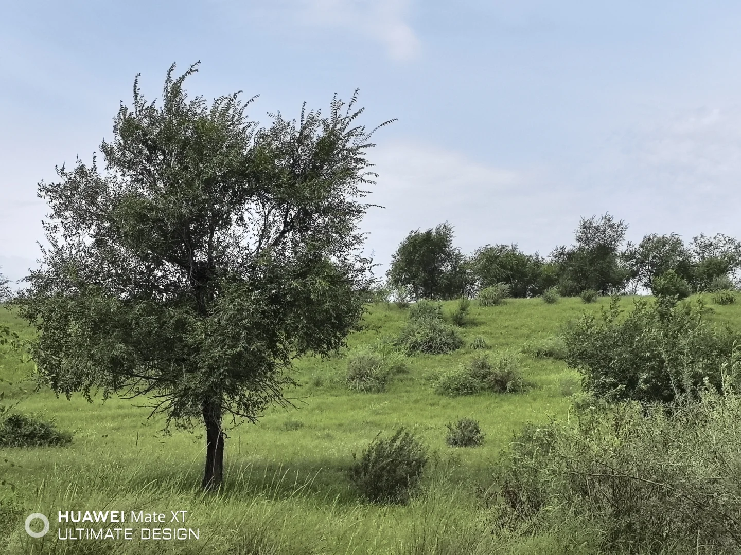 有没有九月份想旅游的