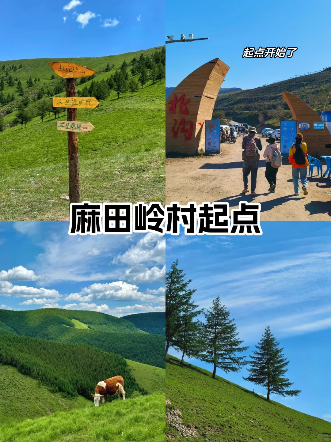 京郊25℃夏天🌿闯入“北方小瑞士”麻田岭