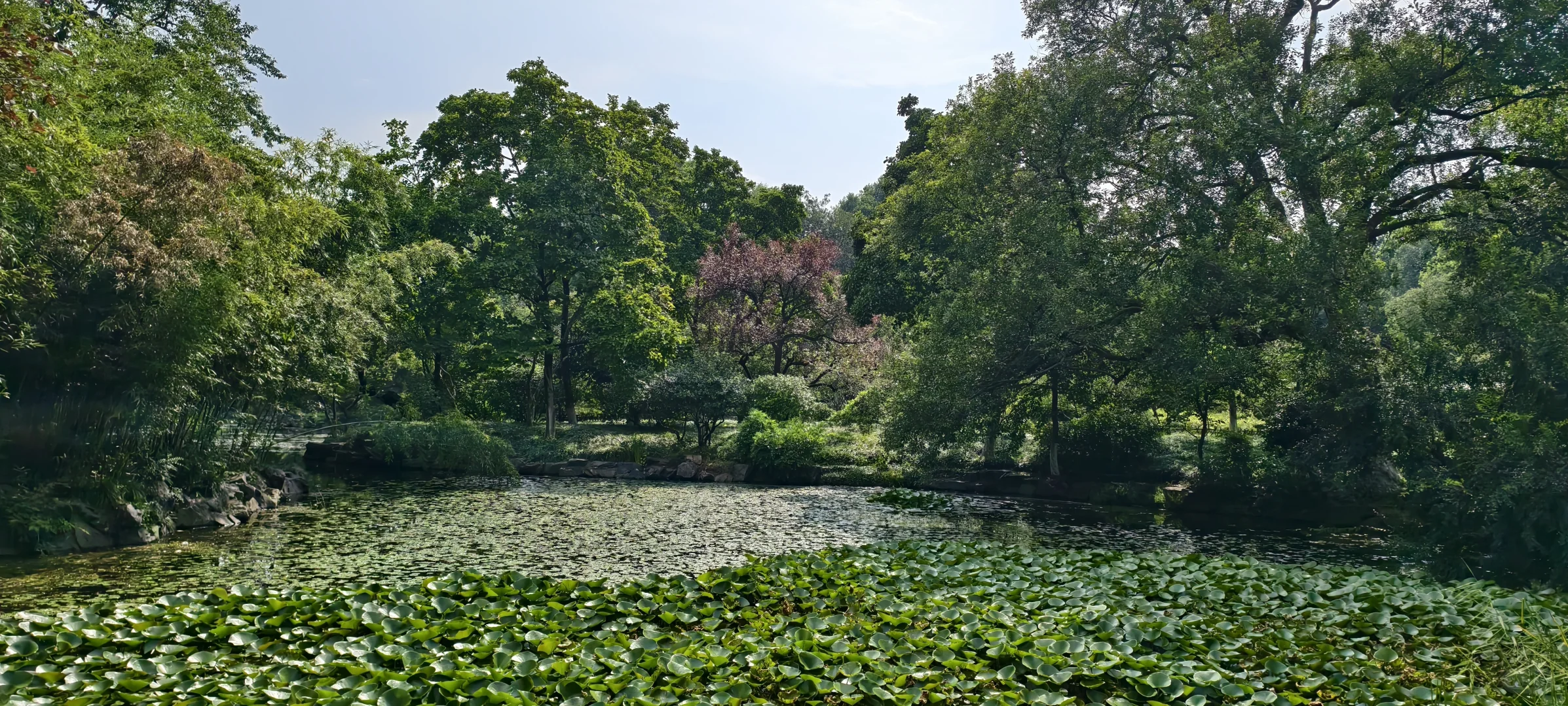 西湖｜特种兵一日游，各景点观感详记（中）