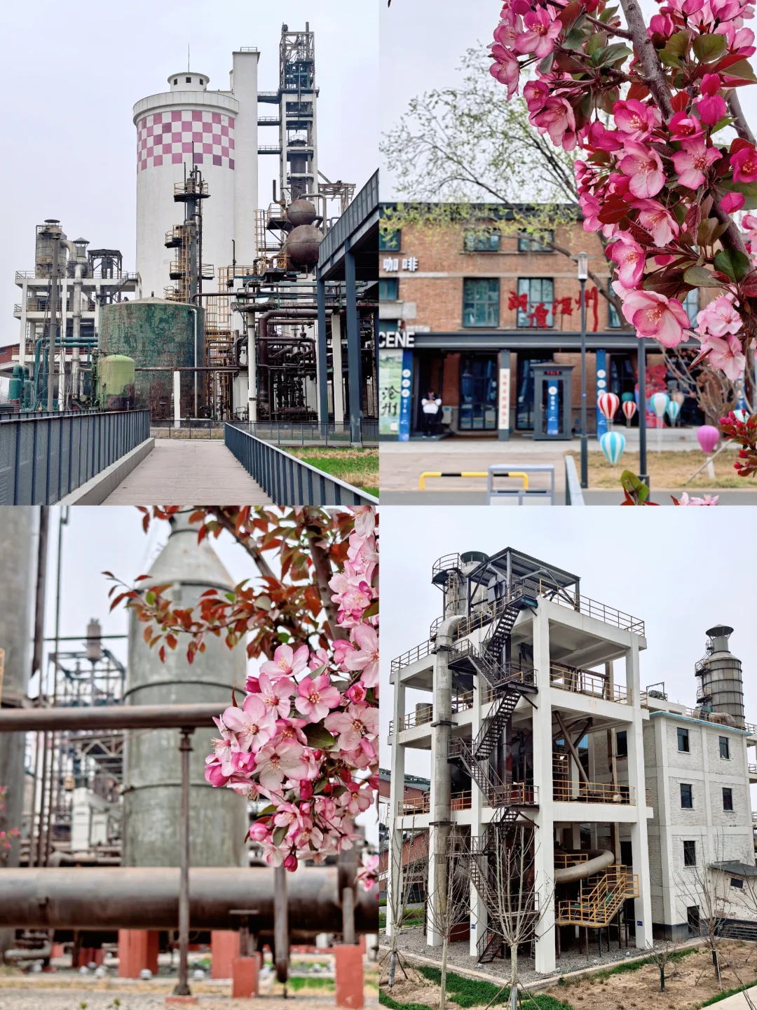 北京到沧州｜51分钟，换个城市过周末！