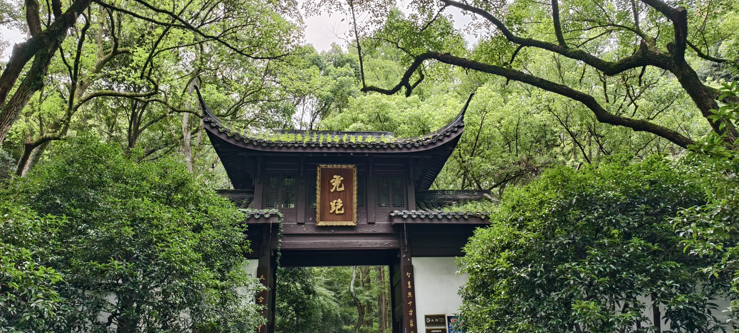 西湖｜特种兵一日游，各景点观感详记（中）