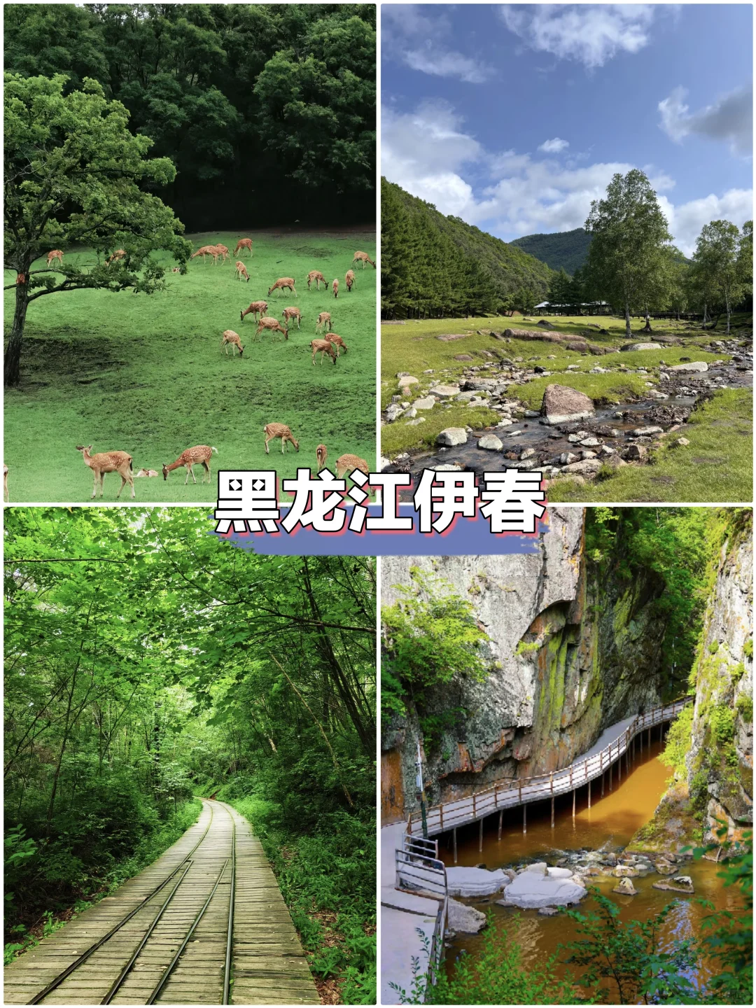 四大冷门零差评避暑城市，过一个凉爽的夏天