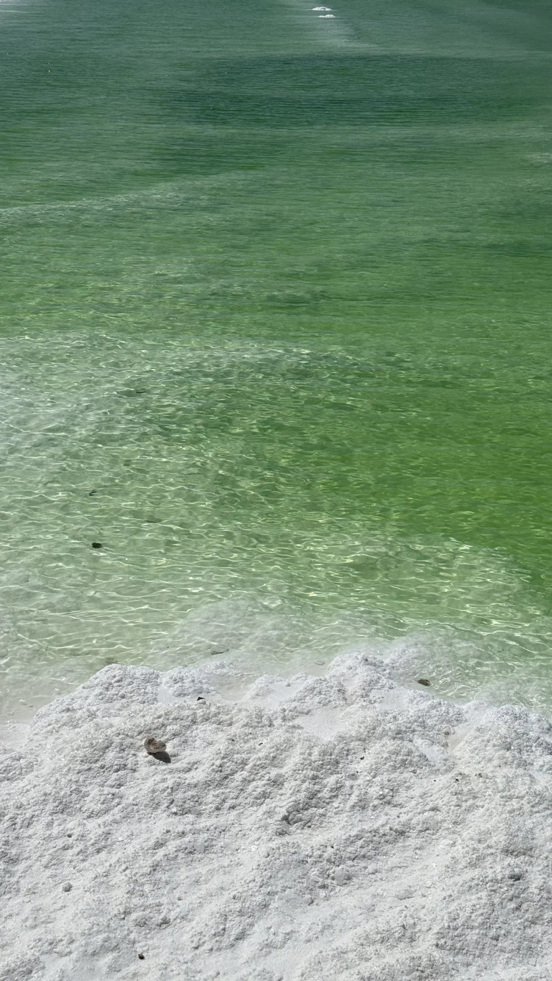 察尔汗盐湖的绿让人难以忘怀