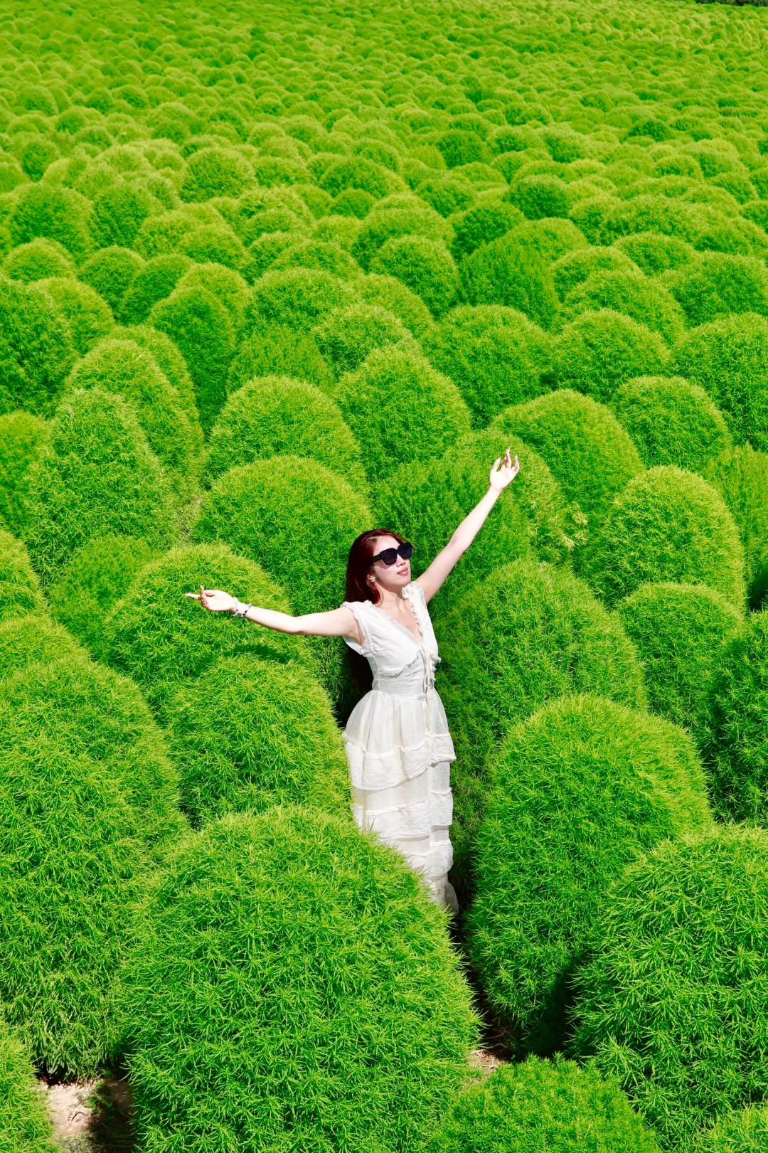 新疆旅游 你真的来过吗？