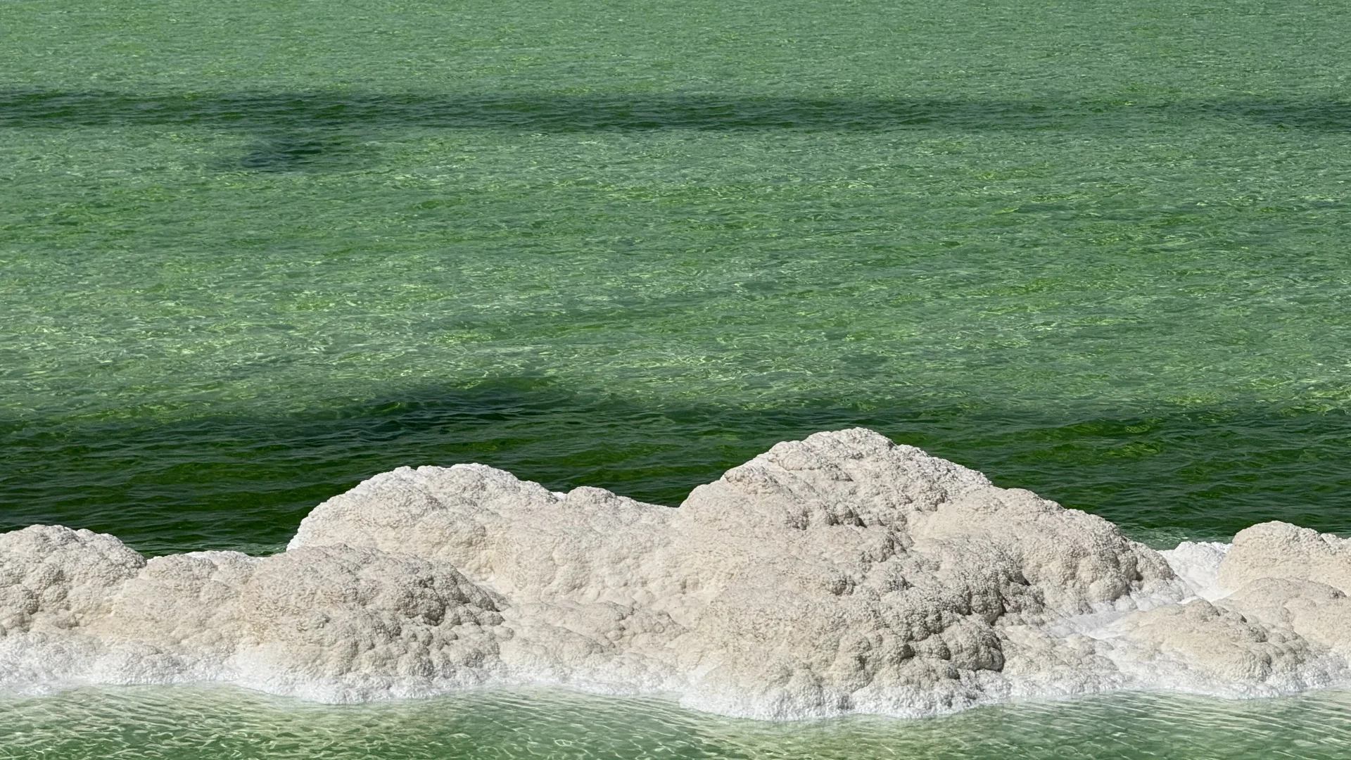 察尔汗盐湖的绿让人难以忘怀