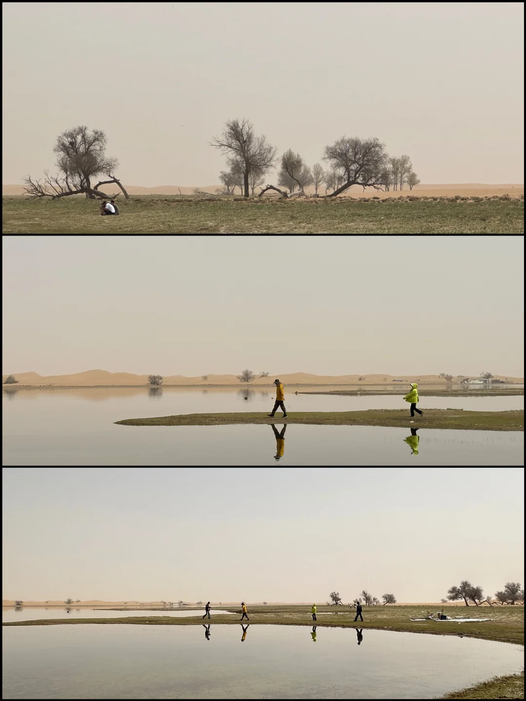 阿拉善|在沙漠深处听见了地球跳动的声音‼️