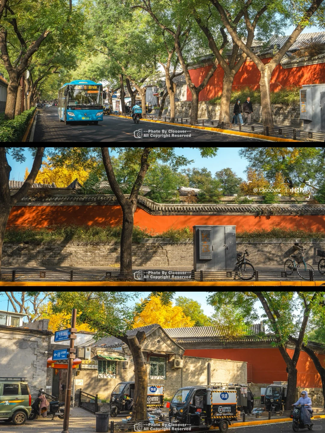 2024我在北京邂逅的宝藏风景，从胡同到景点