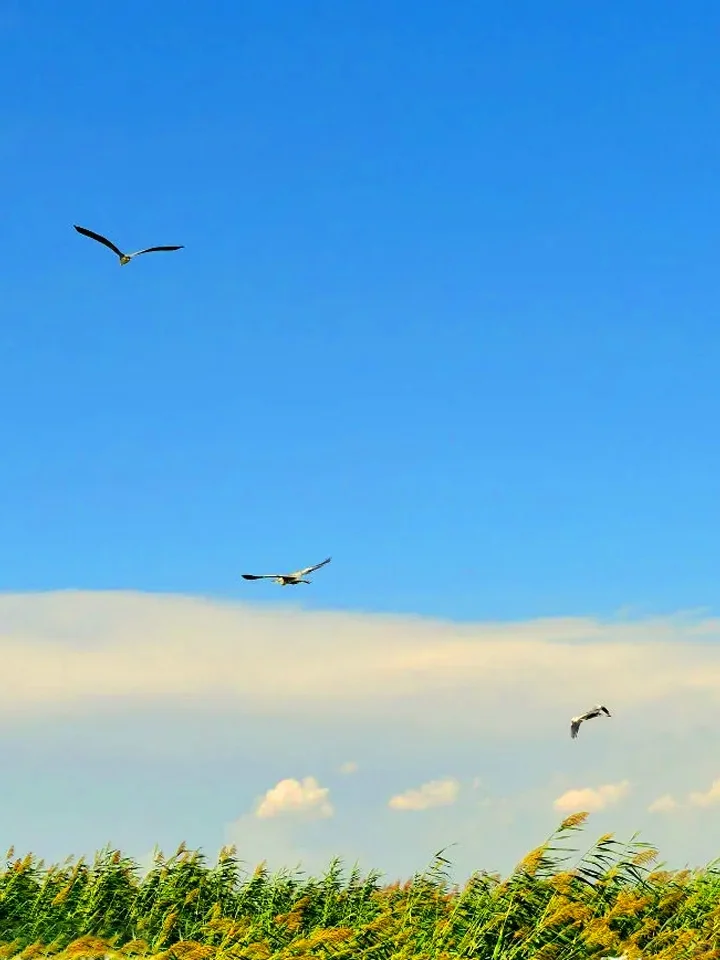 内蒙古最值得去的9️⃣个景点❗