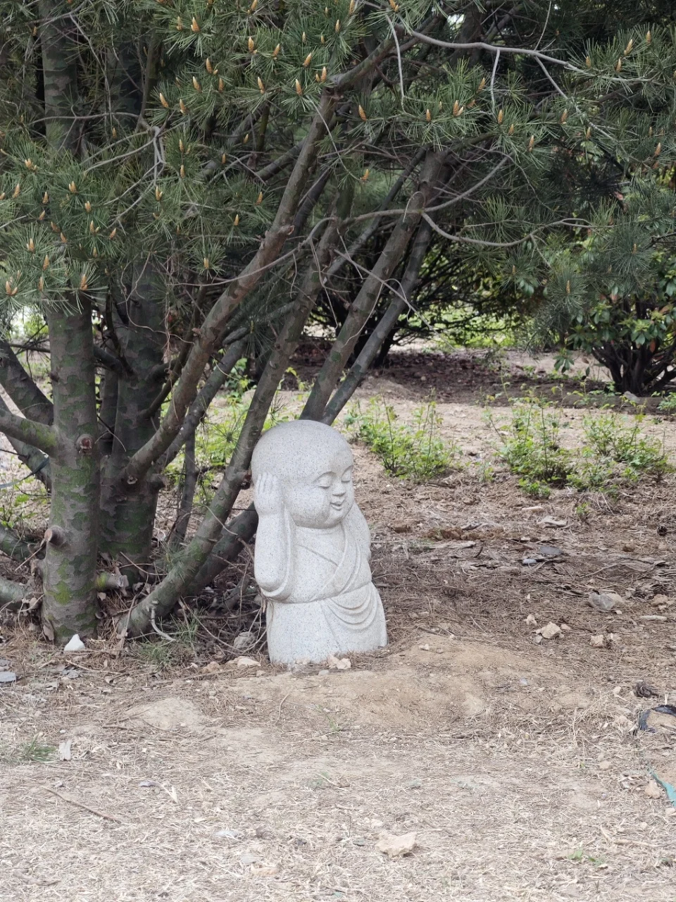 太原周边游，惊喜住了