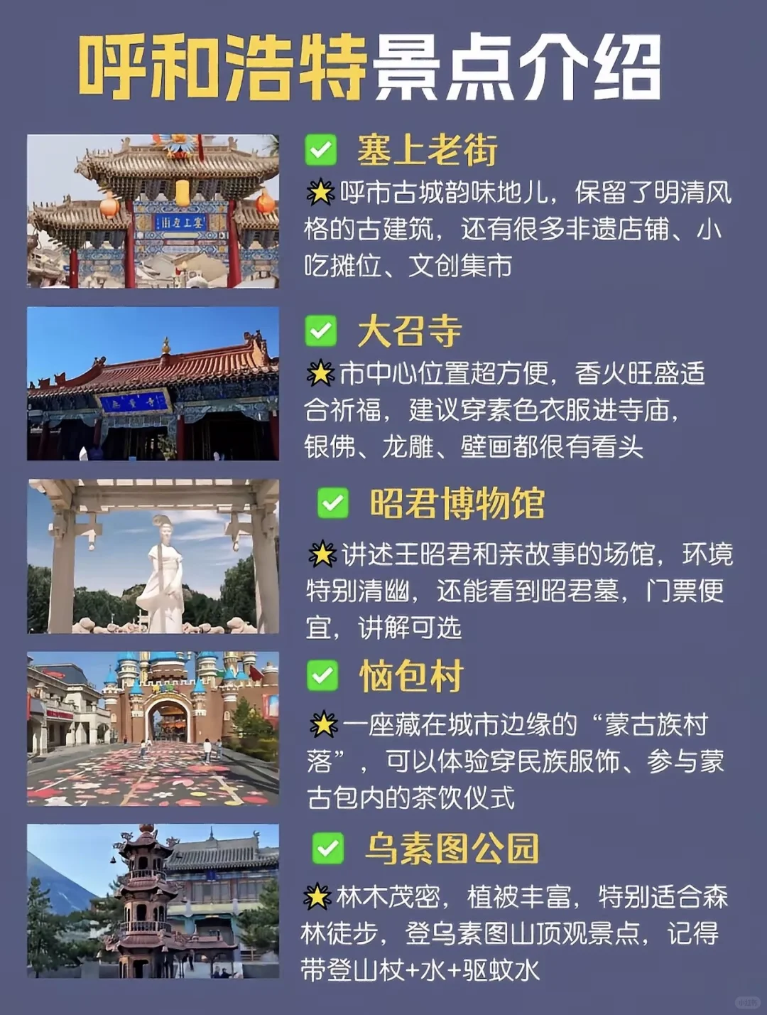 呼市到底有哪些景点❓一条全知道