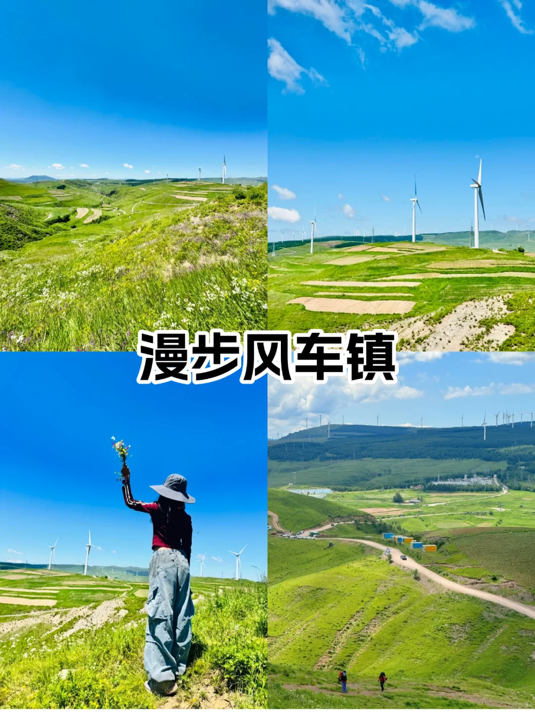 京郊25℃夏天🌿闯入“北方小瑞士”麻田岭