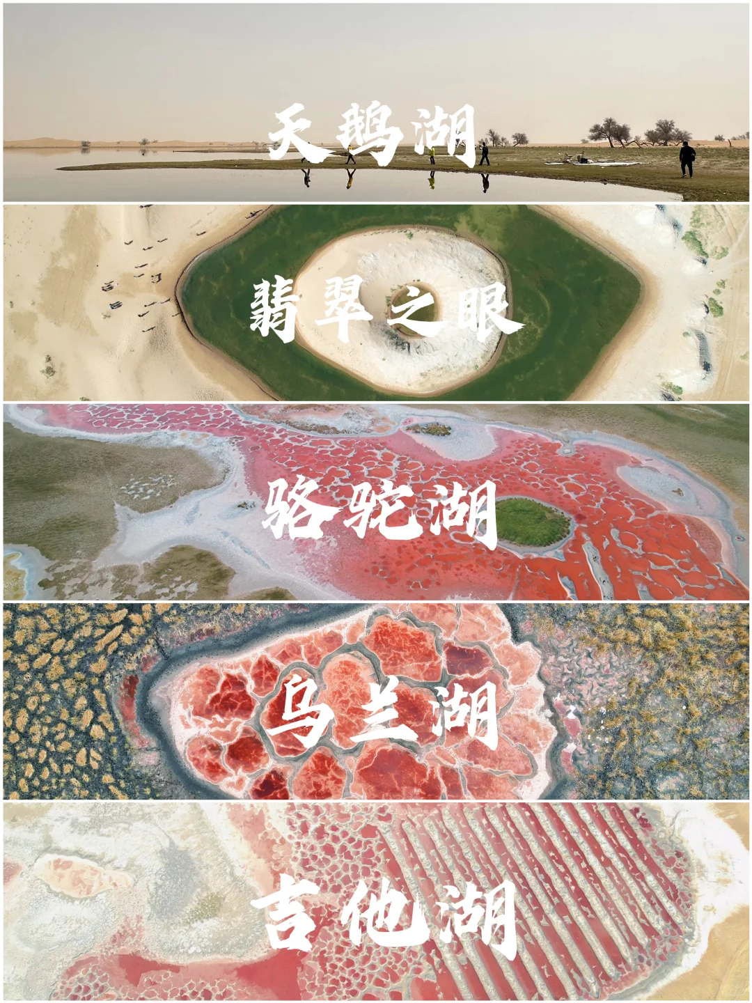 阿拉善|在沙漠深处听见了地球跳动的声音‼️