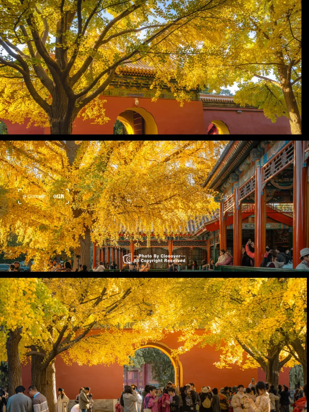 2024我在北京邂逅的宝藏风景，从胡同到景点