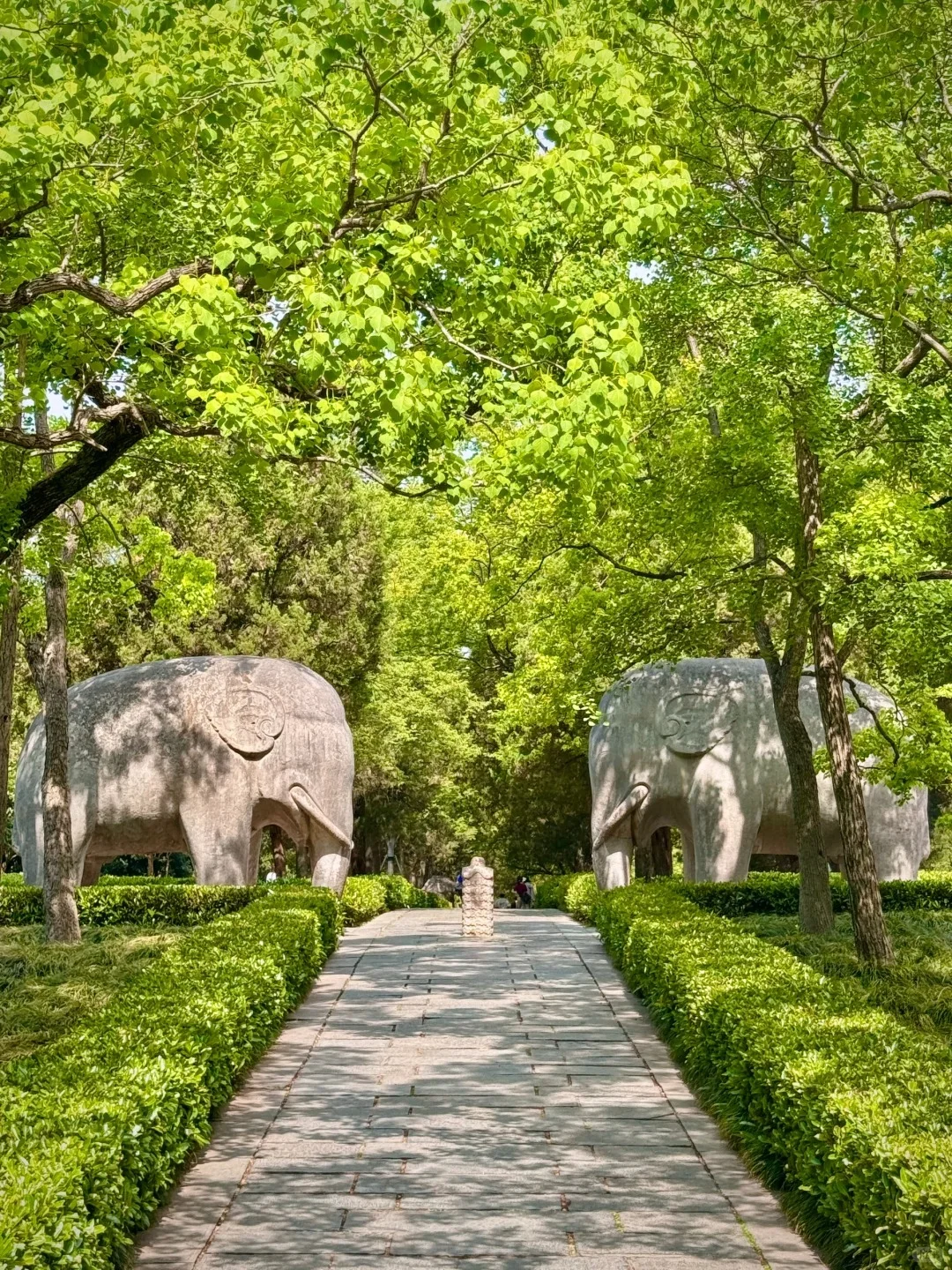 🌟南京旅行全攻略 🌟