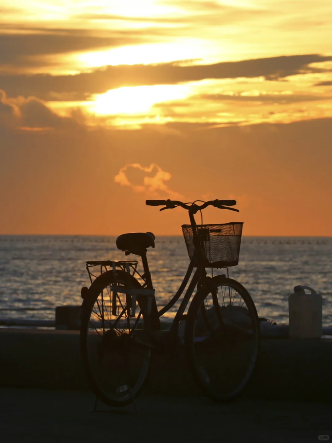 历届游客最想知道日照的8大话题