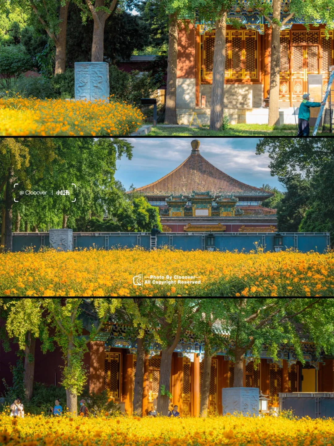 2024我在北京邂逅的宝藏风景，从胡同到景点