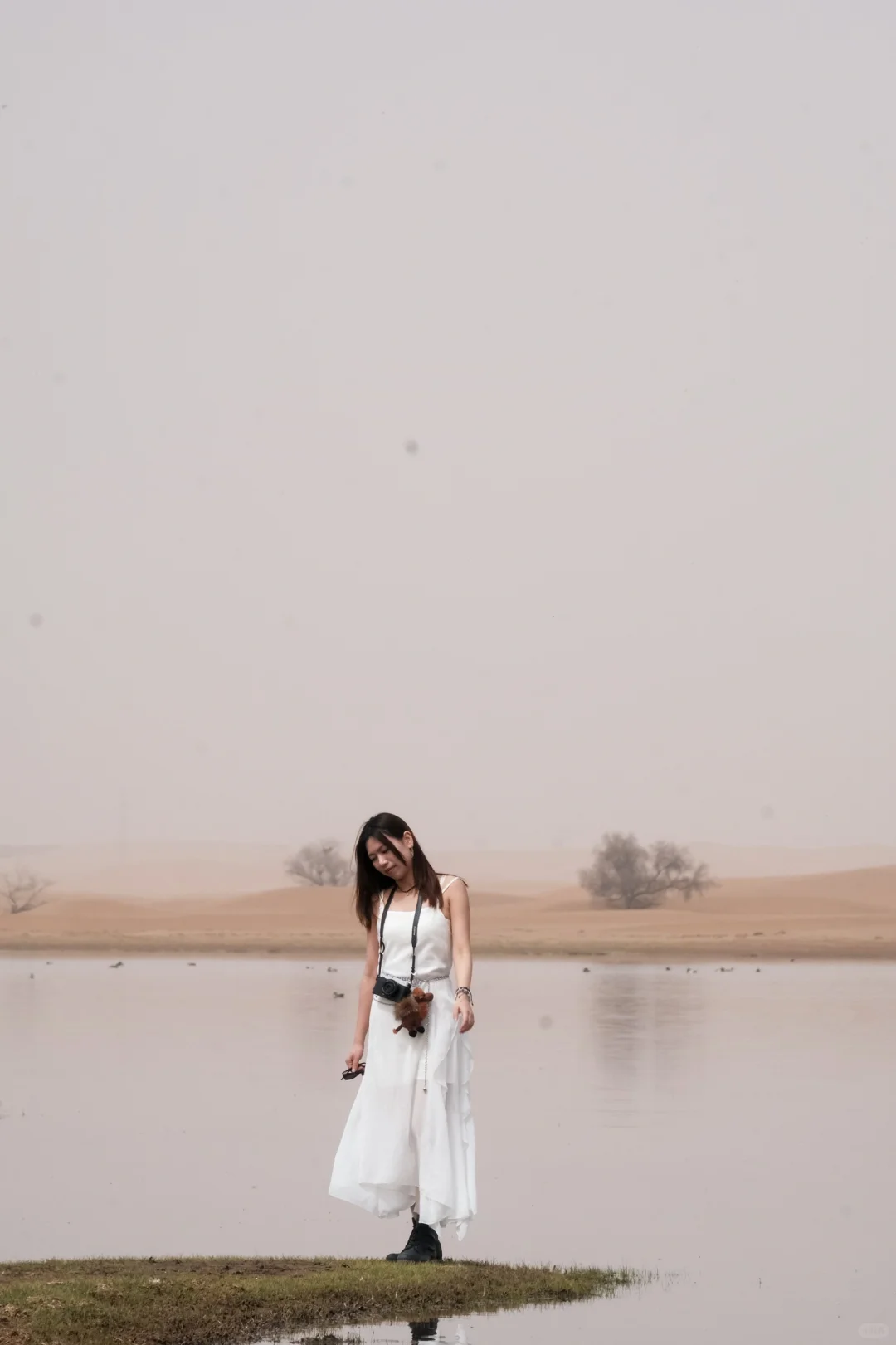 阿拉善|在沙漠深处听见了地球跳动的声音‼️