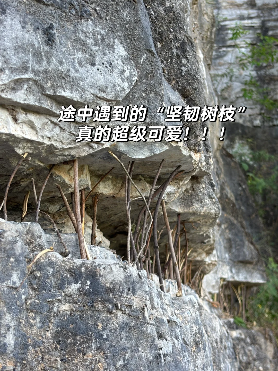 周末去班味——这么近那么美，周末到河北！！！！