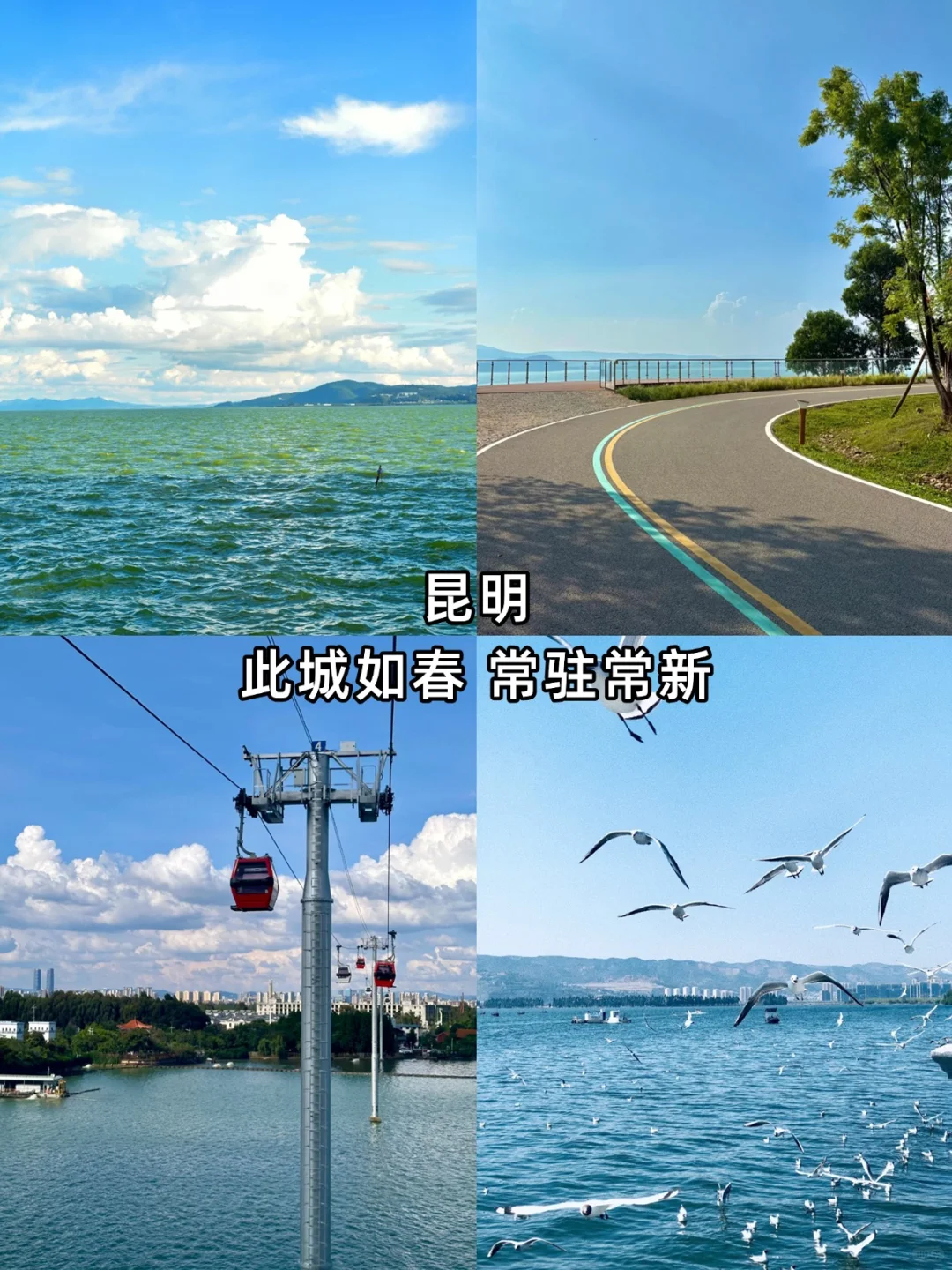 逃离火炉🔥 避暑冲冲冲！