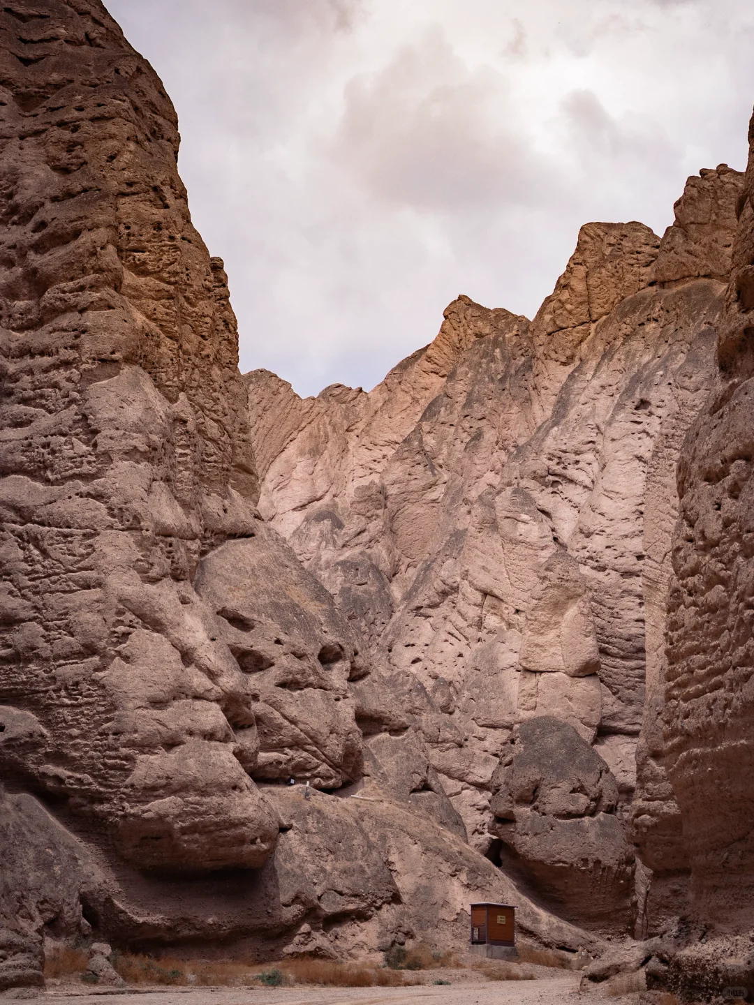 西北被严重低估的景点，即将消失的黄河石林