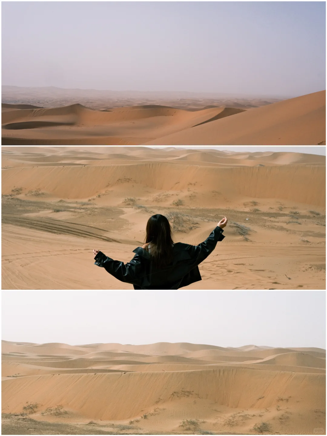 阿拉善|在沙漠深处听见了地球跳动的声音‼️