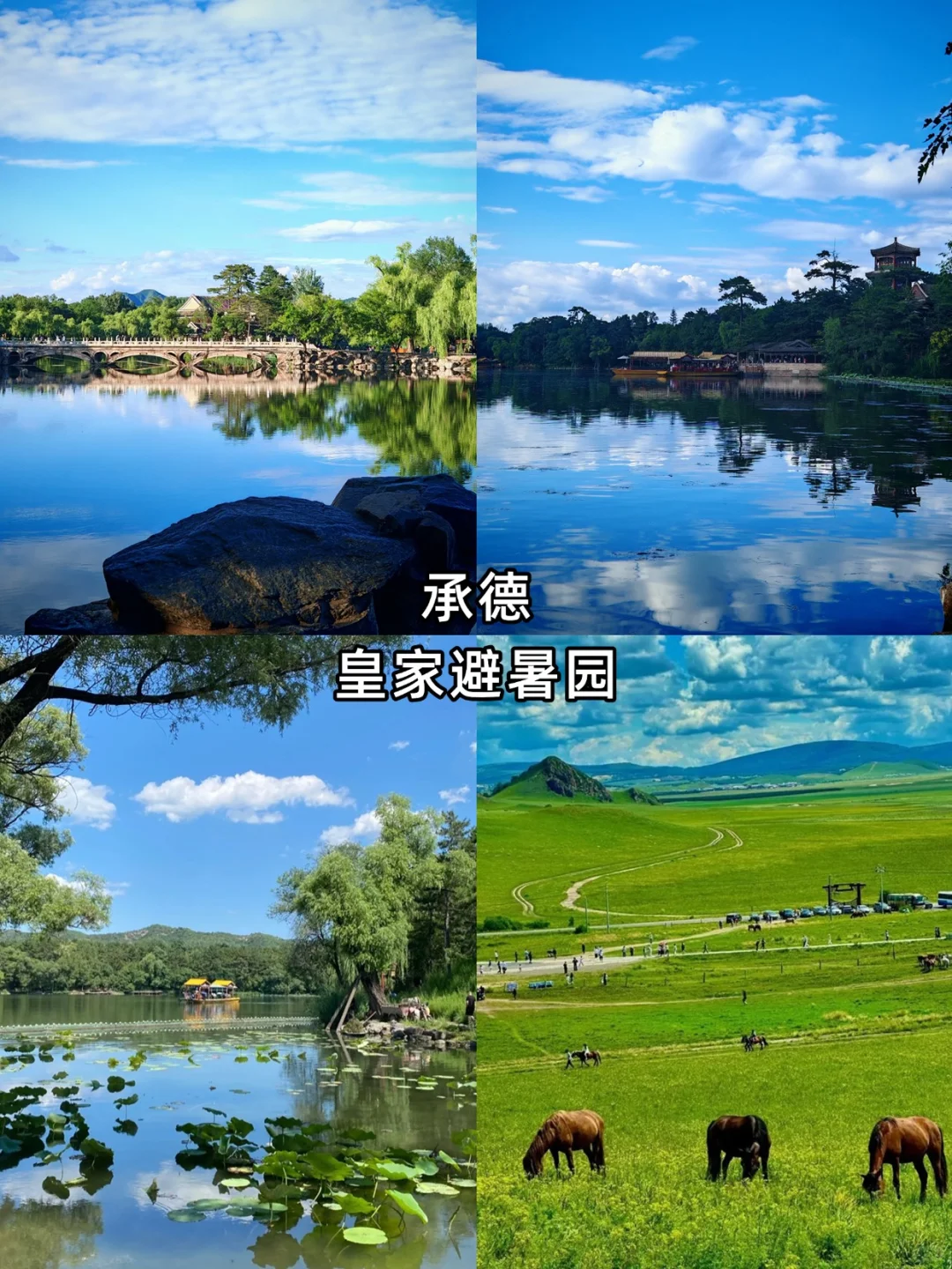 逃离火炉🔥 避暑冲冲冲！