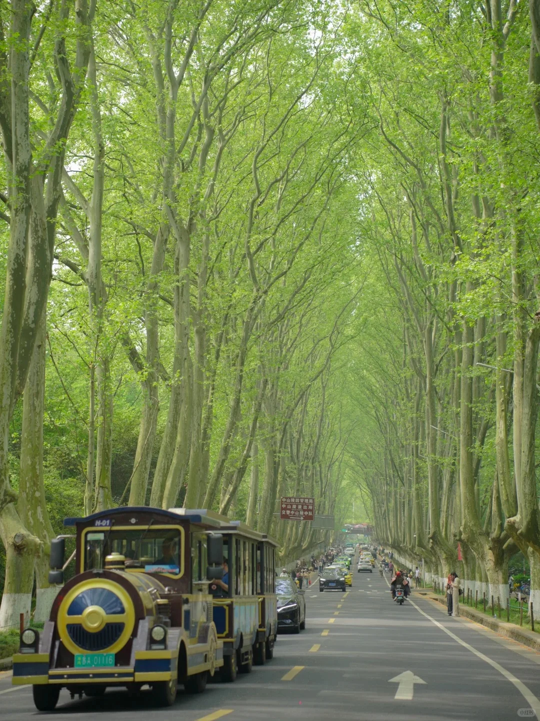 🌟南京旅行全攻略 🌟