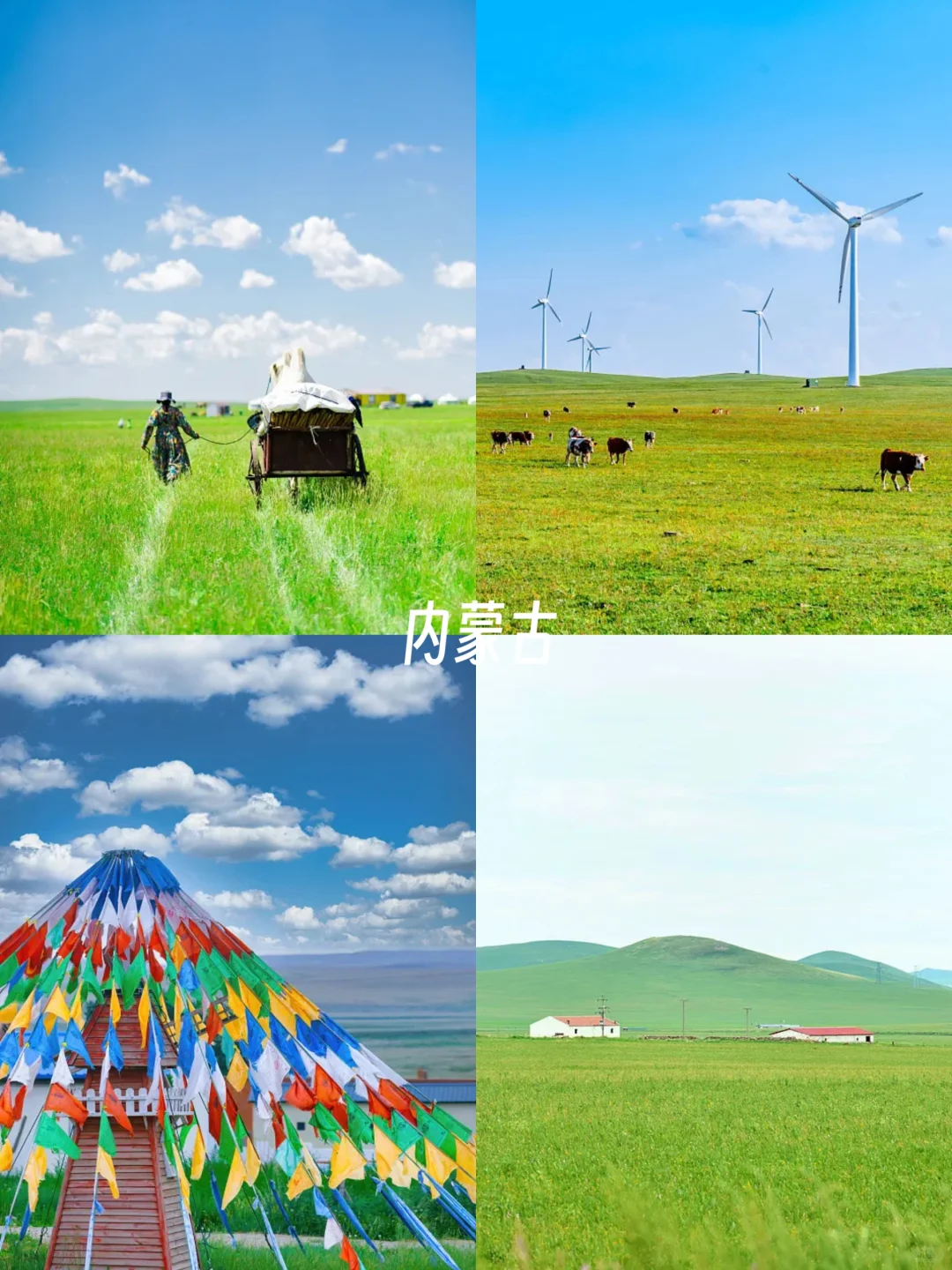 暑假遛娃|8-9月亲子游，10个避暑好去处❗