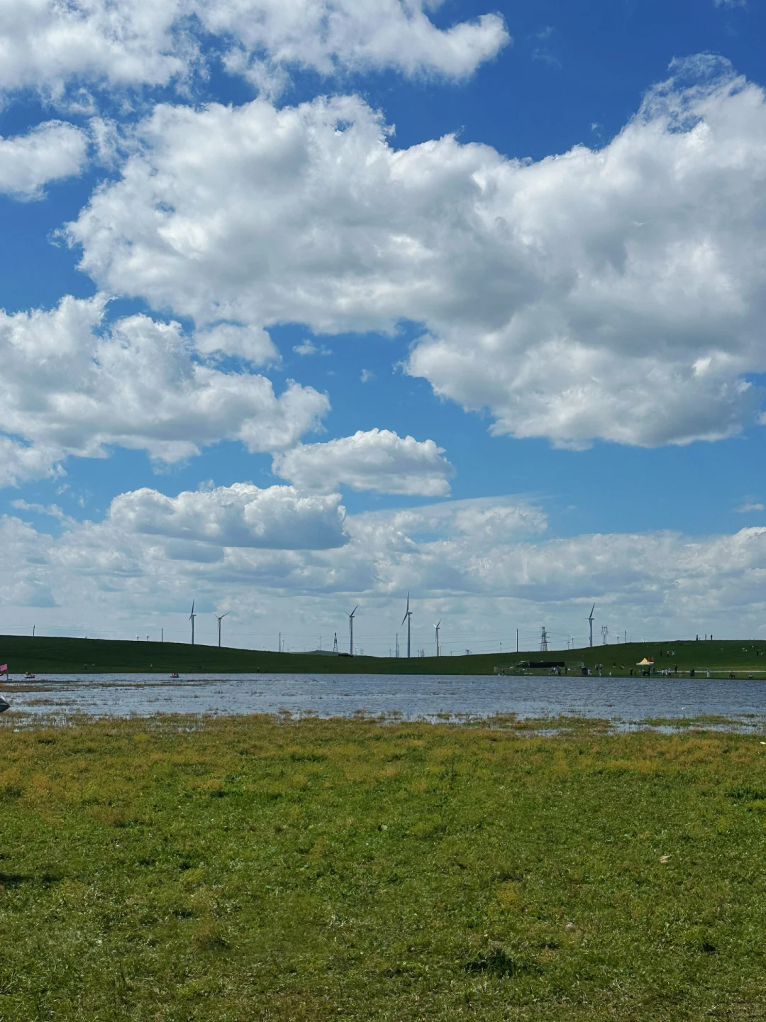 8.5实况，辉腾锡勒草原这样玩，不后悔❗️