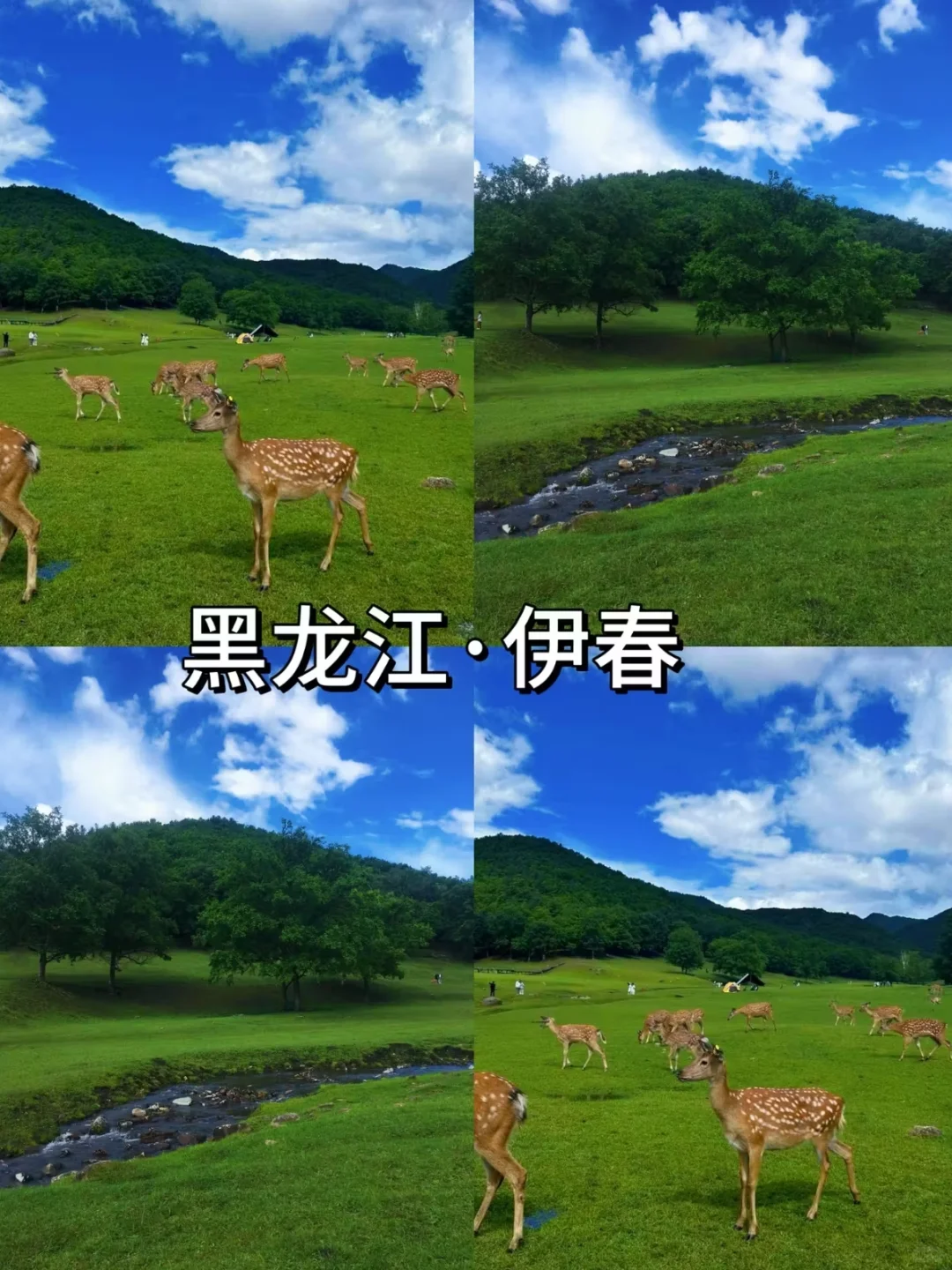 我心中的避暑胜地TOP.10❗收藏好暑假用