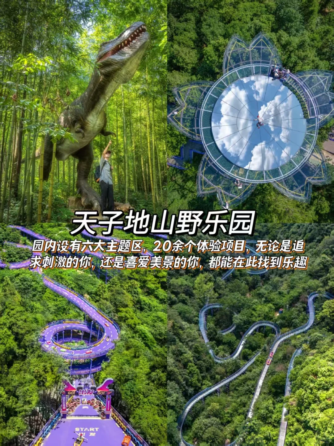 桐庐旅行 | 6大必打卡景点🌿 带你邂逅山