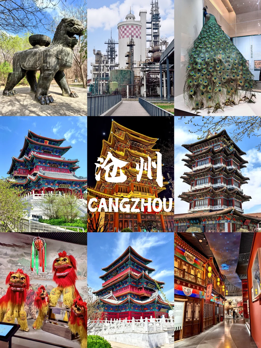 北京到沧州｜51分钟，换个城市过周末！