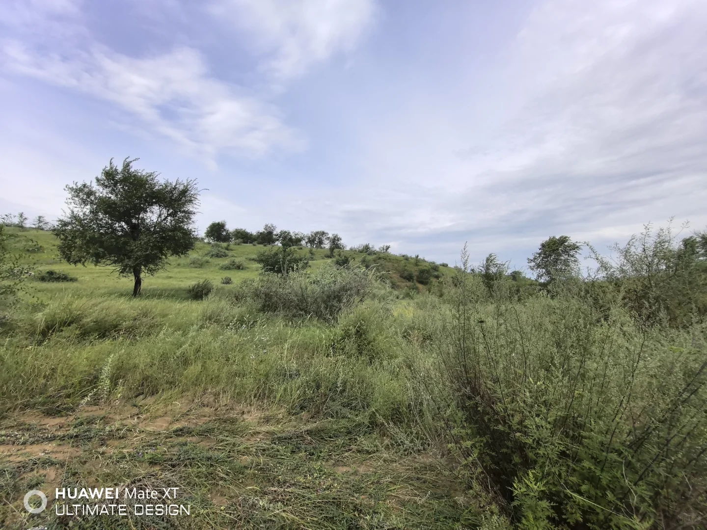 有没有九月份想旅游的