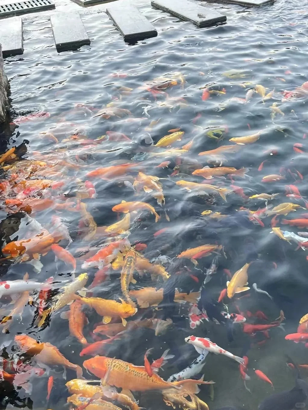 邯郸的“马尔代夫”，30℃直降18℃！