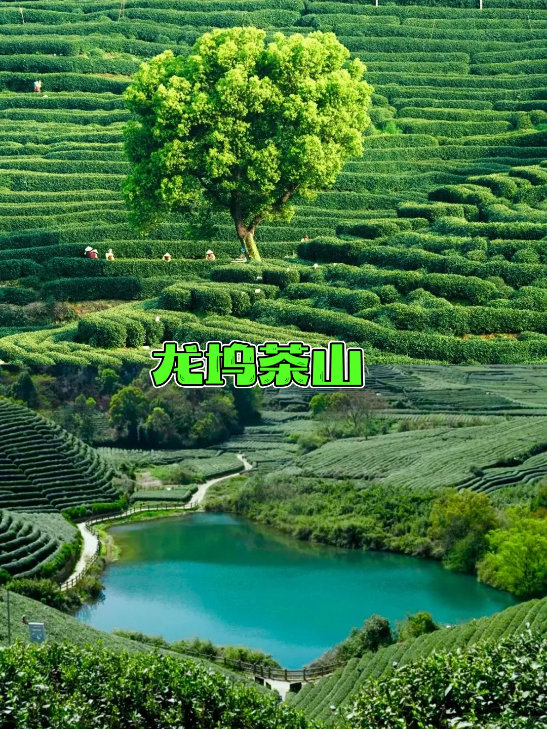 ✨ ‌杭州9大神仙景点·暴风安利版‌