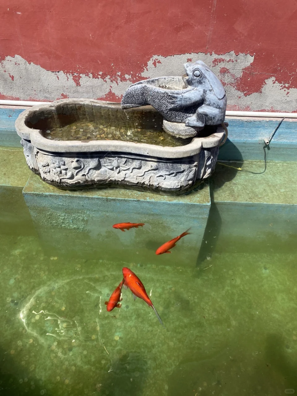 本邯郸大学生实名推荐响堂山！