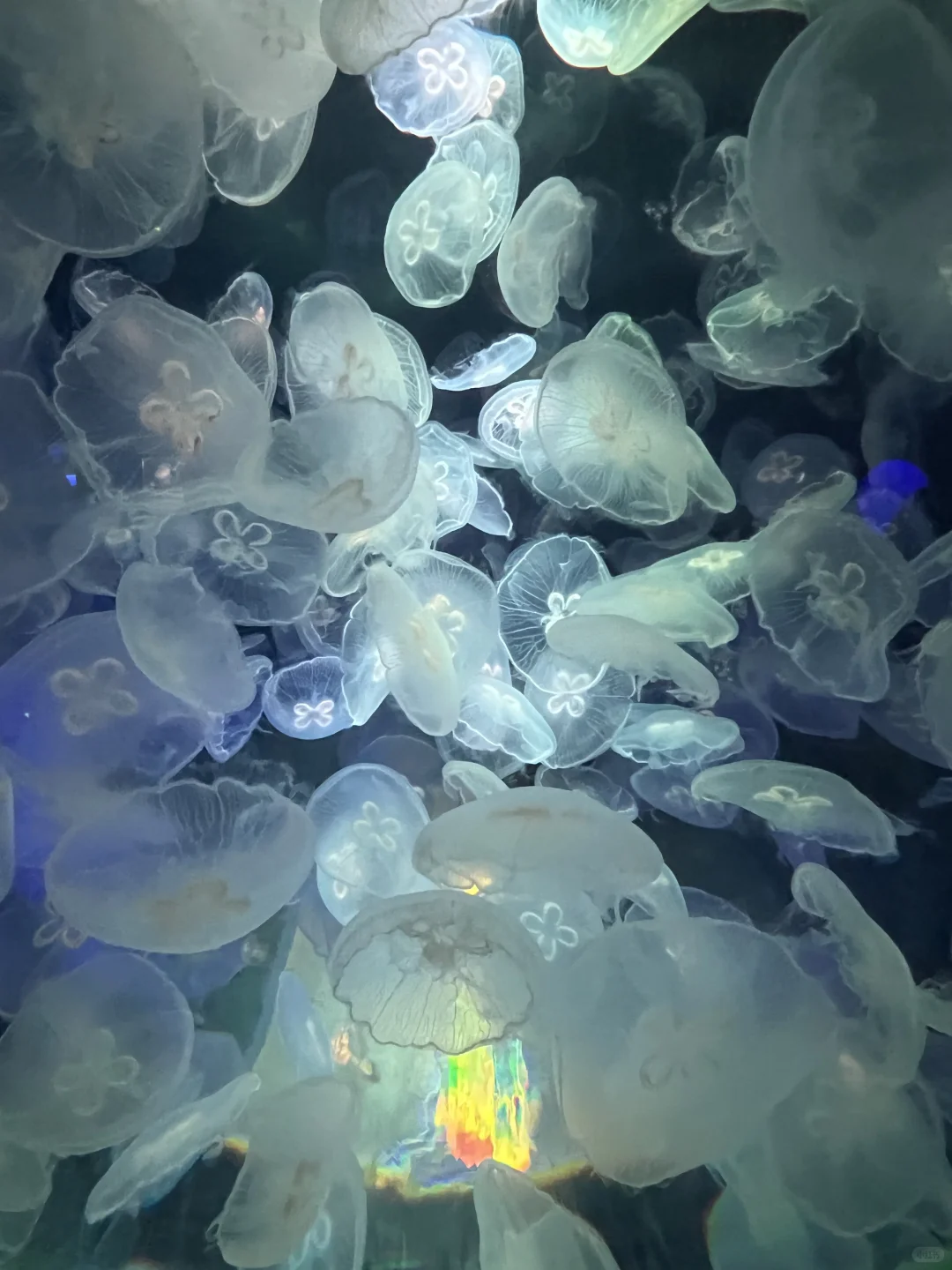 历届游客最想知道日照的8大话题