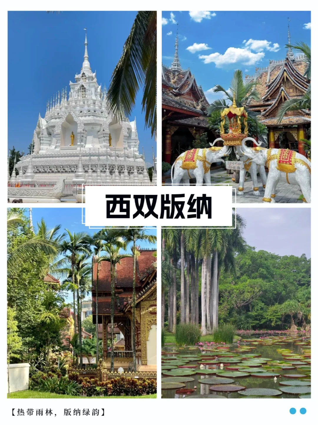 云南必去九大景点‼️千万不要错过