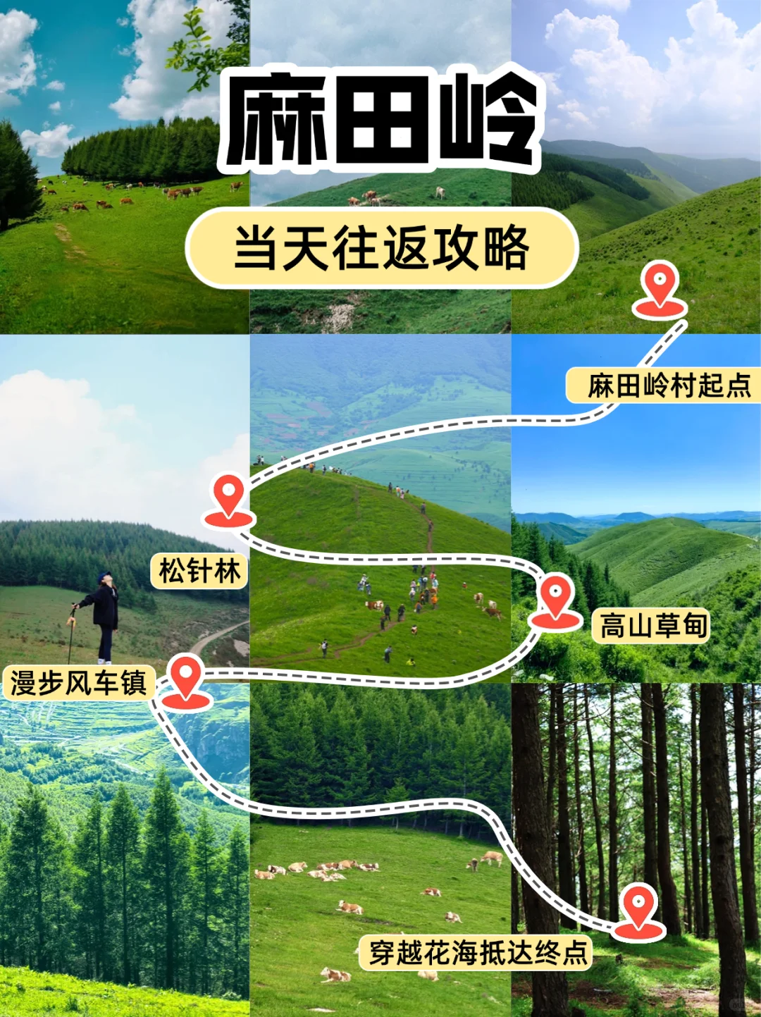 京郊25℃夏天🌿闯入“北方小瑞士”麻田岭