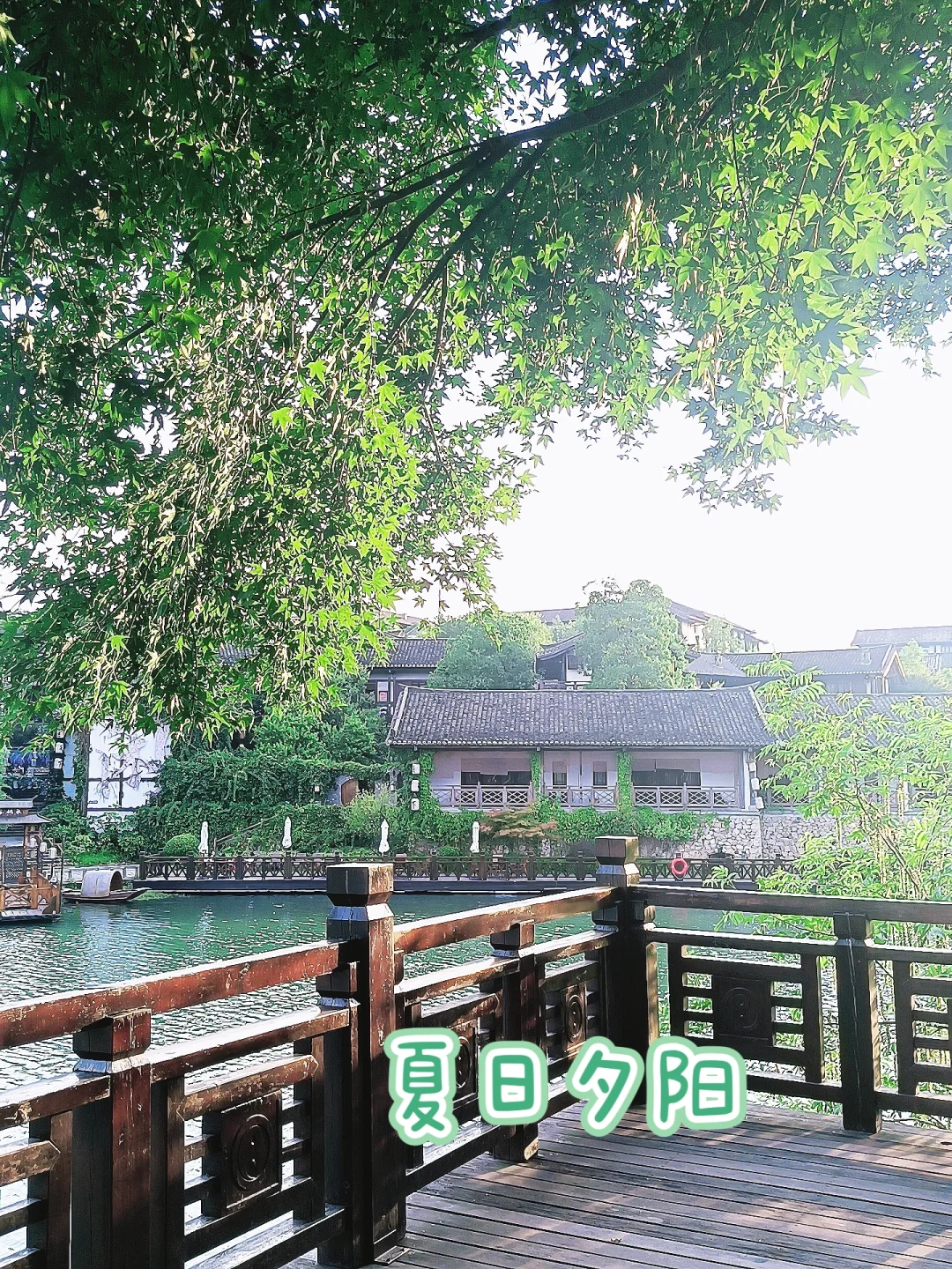 📷|夏天🍃