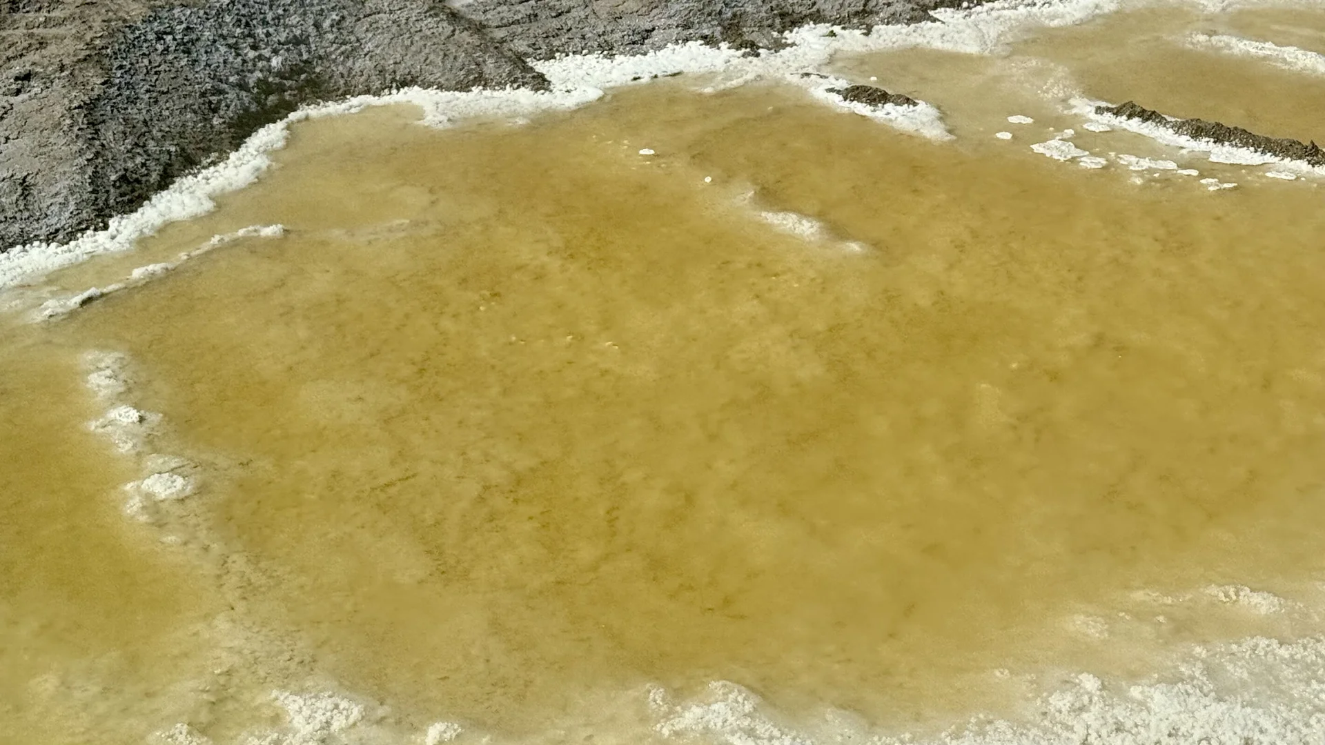 察尔汗盐湖的绿让人难以忘怀